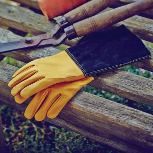 Alternative view of Premium leren handschoen - Large | Town & Country TGL415