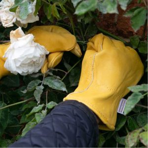 Alternative view of Premium leren handschoenen – Medium | Town & Country TGL105M