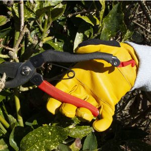 Alternative view of Comfort fit leren handschoenen - Small | Town&Country TGL118S